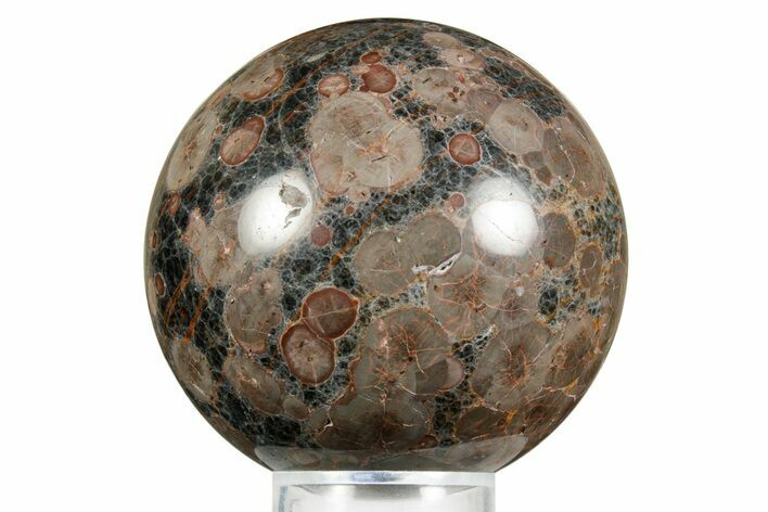 Polished Orbicular Rhyolite (Peanut Obsidian) Sphere - Mexico #371236